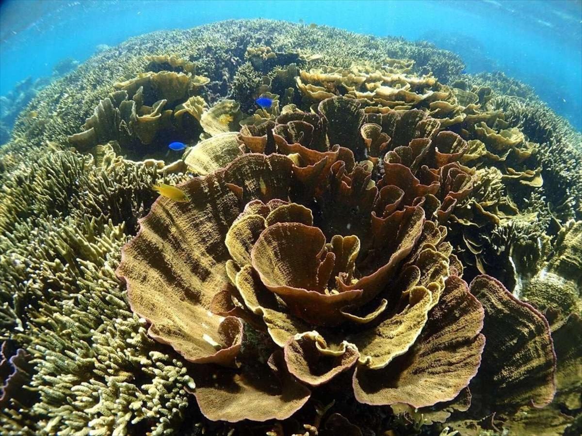 فندق لوكوس Miyakojima  المظهر الخارجي الصورة